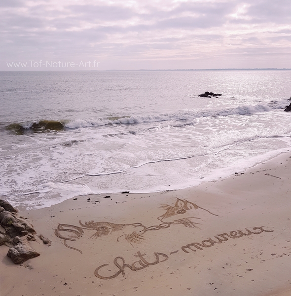 christophegarcia_beachart_122