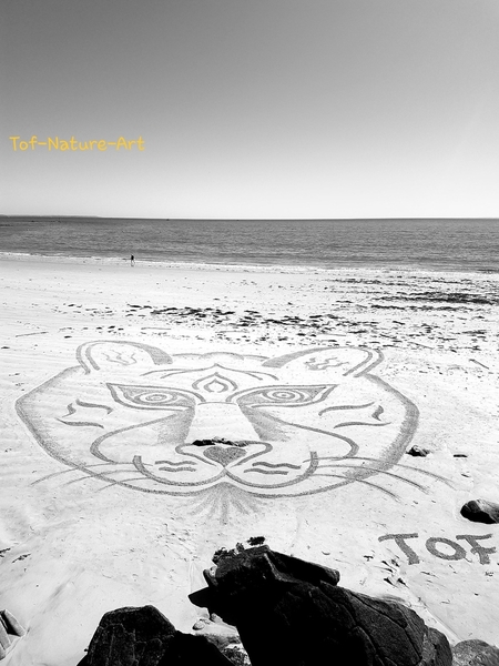 christophegarcia_beachart_127