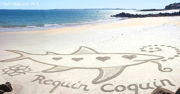 christophegarcia_beachart_136