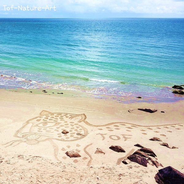 christophegarcia_beachart_140