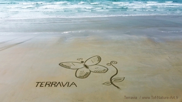 christophegarcia_beachart_170