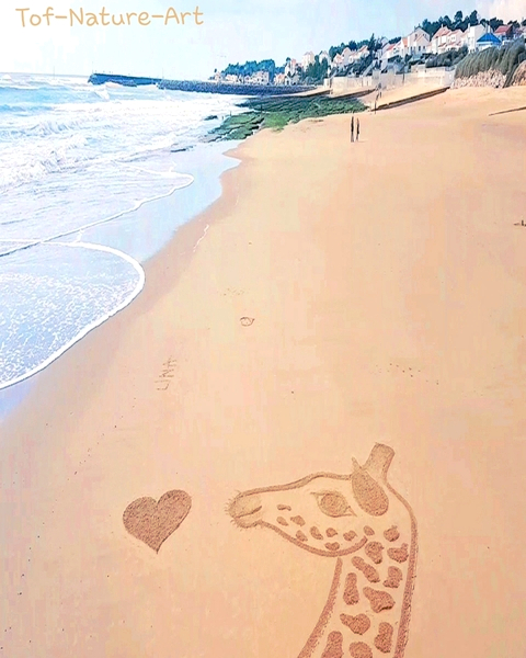 christophegarcia_beachart_185
