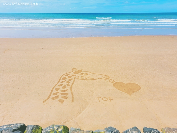 christophegarcia_beachart_208