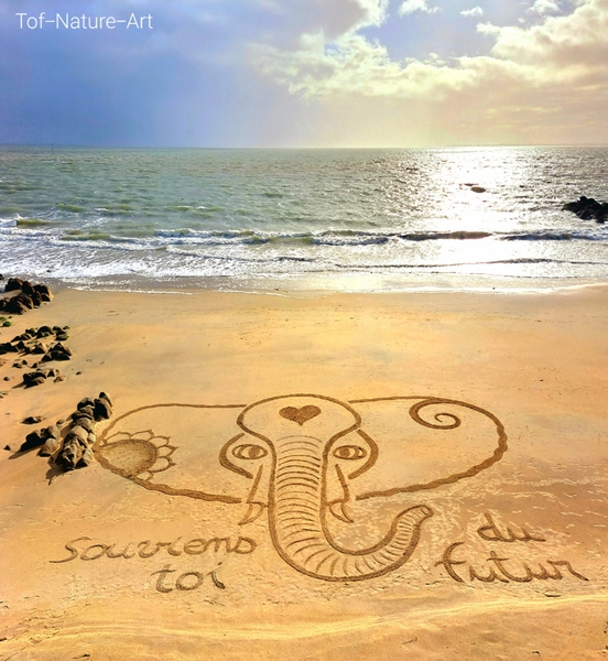 christophegarcia_beachart_256
