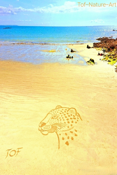 christophegarcia_beachart_285