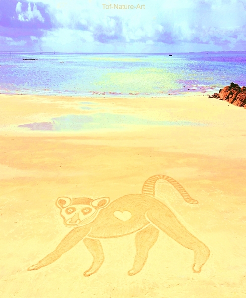 christophegarcia_beachart_287
