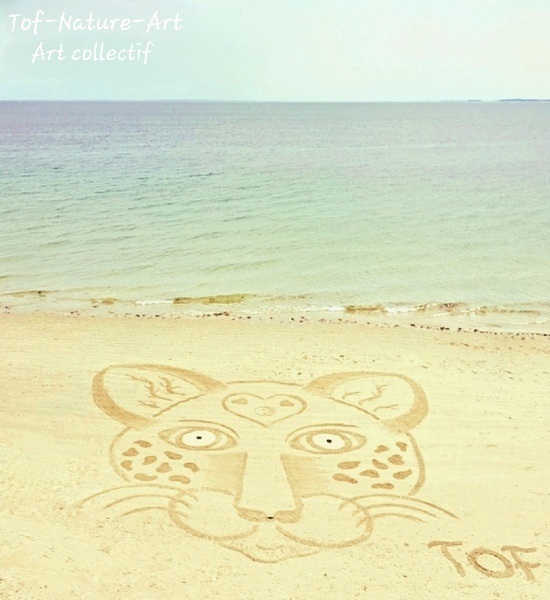 christophegarcia_beachart_291