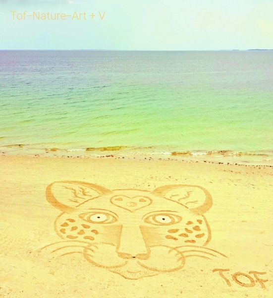 christophegarcia_beachart_291