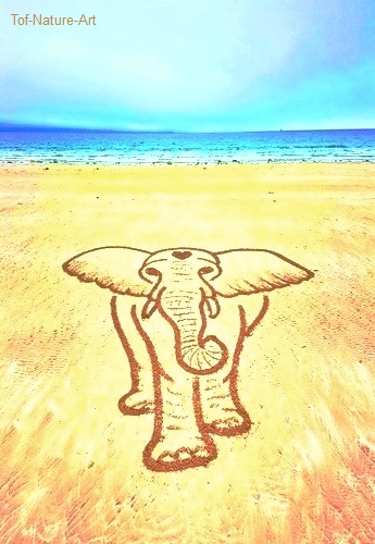 christophegarcia_beachart_292