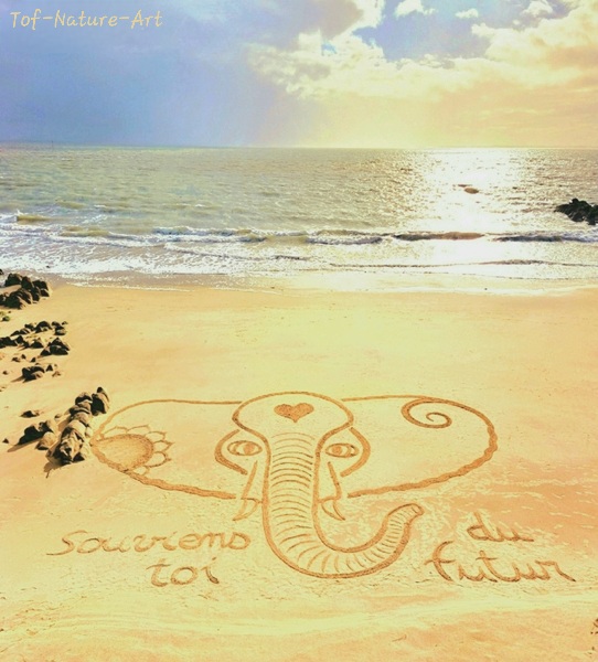 christophegarcia_beachart_295