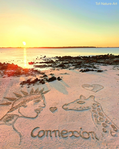 christophegarcia_beachart_296