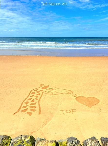 christophegarcia_beachart_305