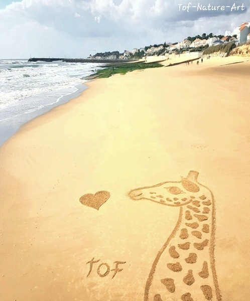 christophegarcia_beachart_310