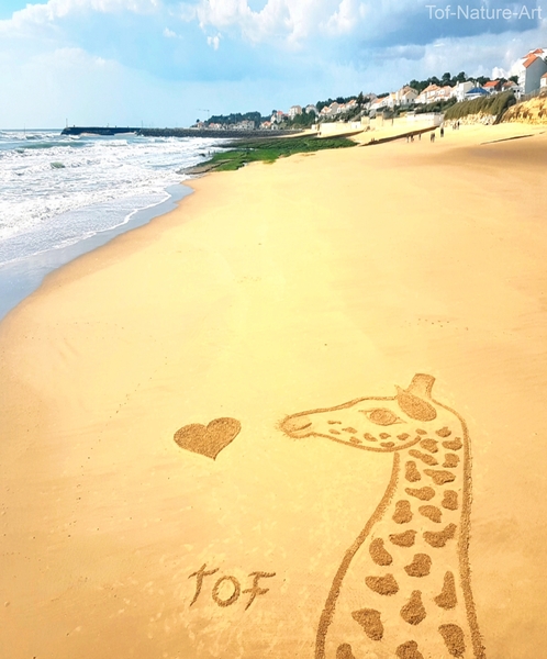 christophegarcia_beachart_310