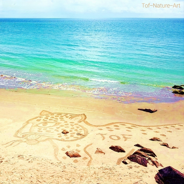christophegarcia_beachart_320