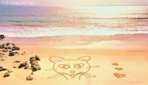 christophegarcia_beachart_321