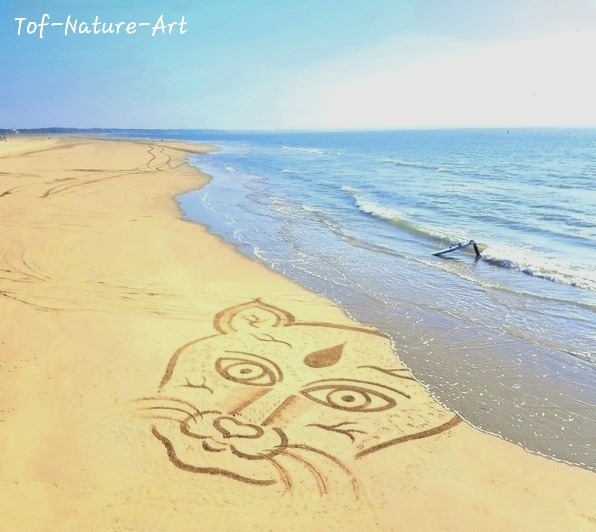 christophegarcia_beachart_322
