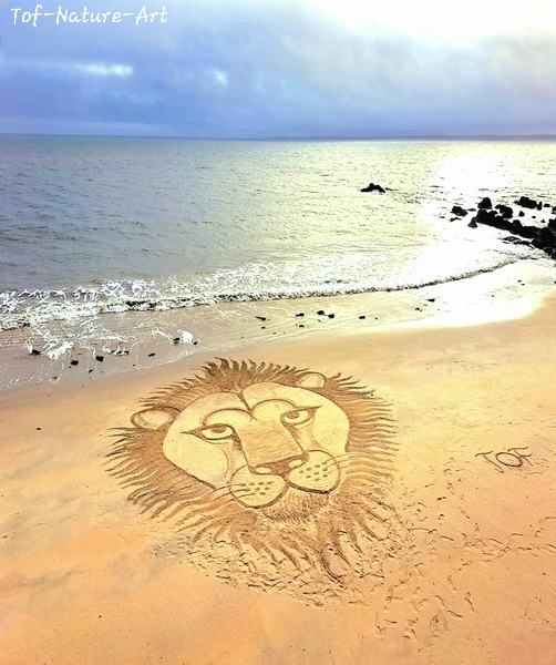 christophegarcia_beachart_356