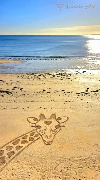 christophegarcia_beachart_358