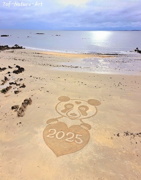 christophegarcia_beachart_392