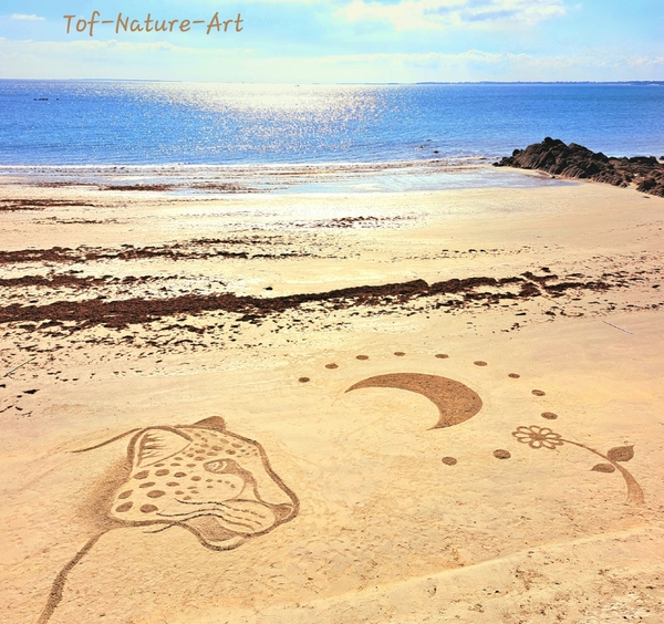 christophegarcia_beachart_403