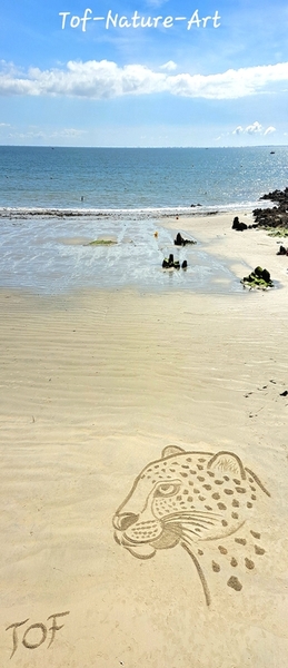 christophegarcia_beachart_404