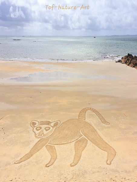 christophegarcia_beachart_406