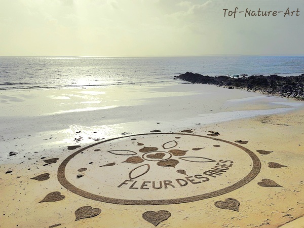 christophegarcia_beachart_419