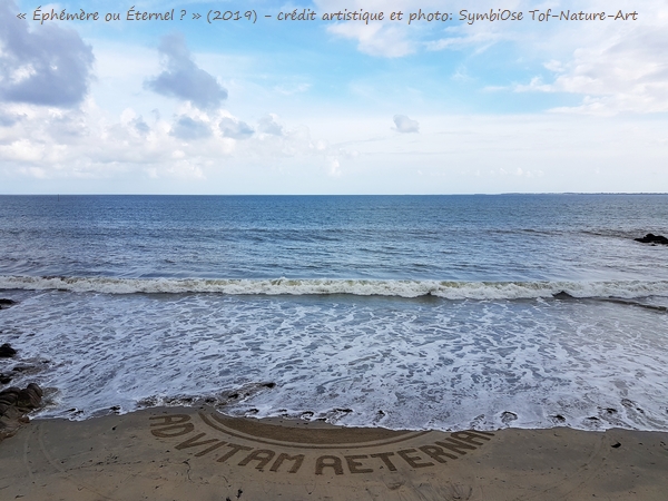 christophegarcia_beachart_62