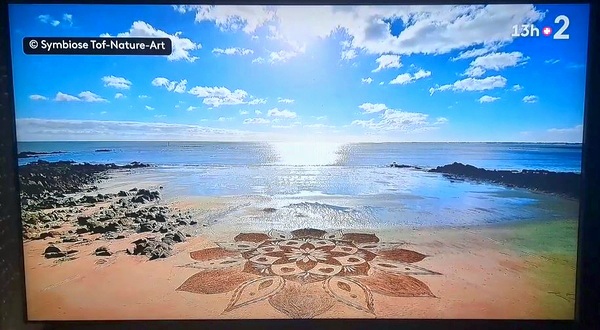 christophegarcia_beachart_402