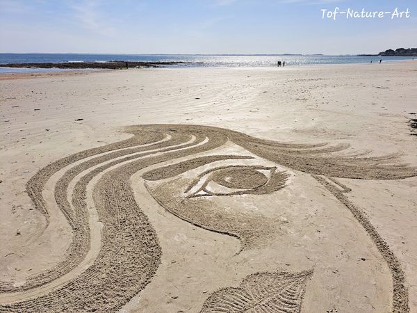 christophegarcia_beachart-480